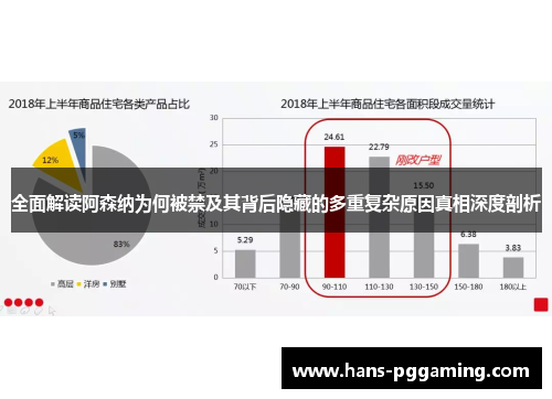 全面解读阿森纳为何被禁及其背后隐藏的多重复杂原因真相深度剖析 全面解读阿森纳为何被禁及其背后隐藏的多重复杂原因真相深度剖析
